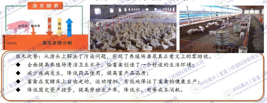&#24320;&#20803;&#32593;&#39029;&#29256;&#95;&#24320;&#20803;&#40;&#20013;&#22269;&#41;