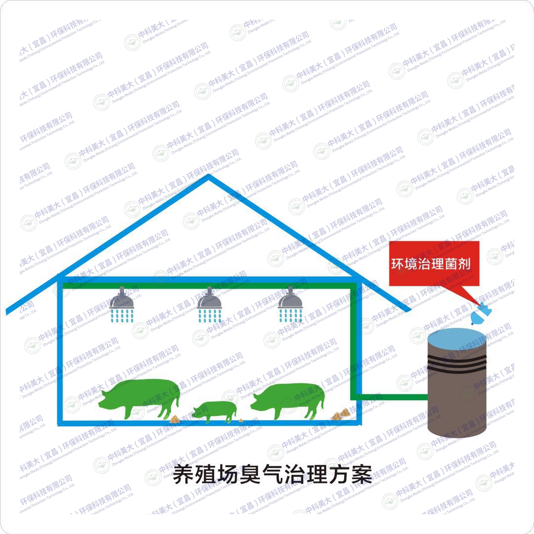 &#24320;&#20803;&#32593;&#39029;&#29256;&#95;&#24320;&#20803;&#40;&#20013;&#22269;&#41;